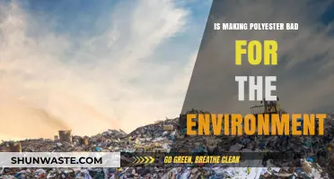 Polyester's Environmental Impact: Sustainable or Harmful for Our Planet?