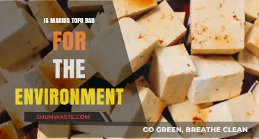 Is Tofu Eco-Friendly? Uncovering Its Environmental Impact and Sustainability