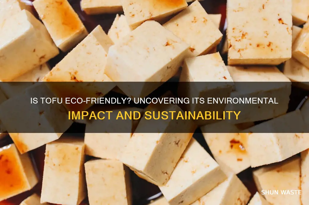 is making tofu bad for the environment