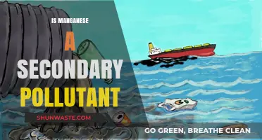 Manganese: Secondary Pollutant or Not?