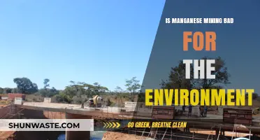 Manganese Mining's Environmental Impact: Sustainable Practices or Ecological Threat?
