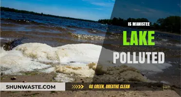 Manistee Lake: A Polluted Paradise?