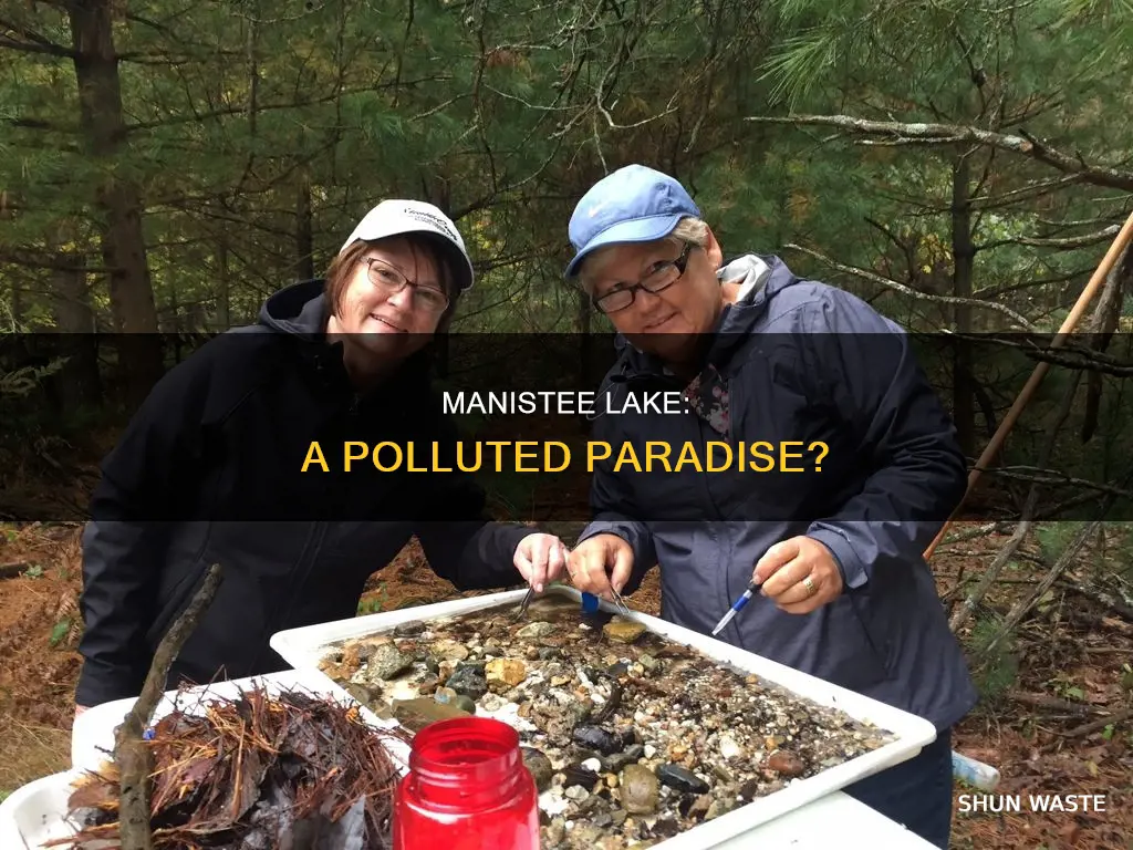 is manistee lake polluted
