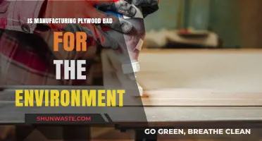Plywood Production: Environmental Impact and Sustainable Alternatives Explored
