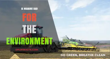 Is Manure Eco-Friendly? Environmental Impacts and Sustainable Practices