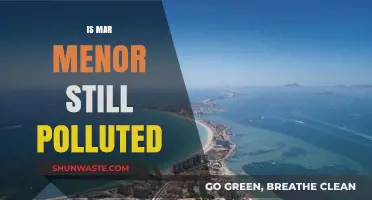 Mar Menor: Is the Pollution Gone?