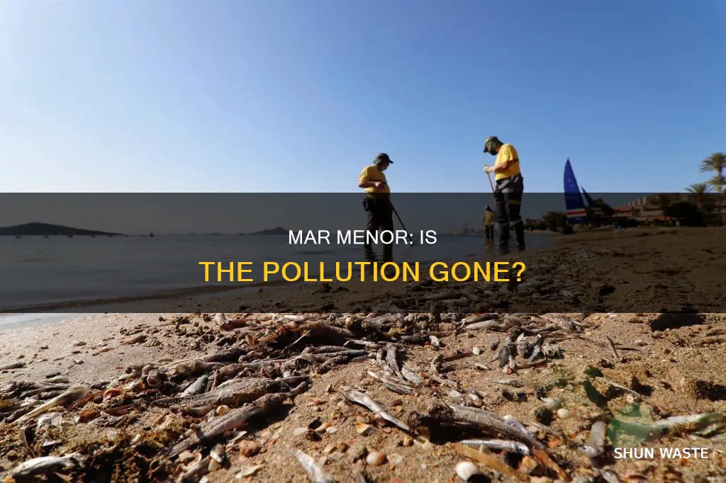 is mar menor still polluted