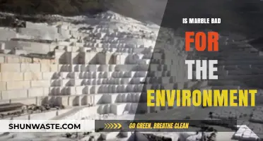 Marble's Environmental Impact: Uncovering the Hidden Costs of Luxury Stone