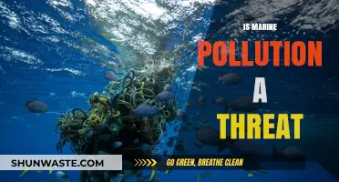 Marine Pollution: A Growing Global Threat