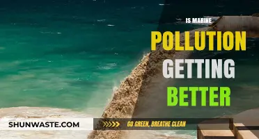 Marine Pollution: Are We Winning the War?