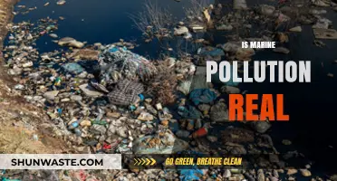 The Marine Pollution Reality: A Global Concern?