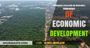 Pollution and Development: A Necessary Trade-off?