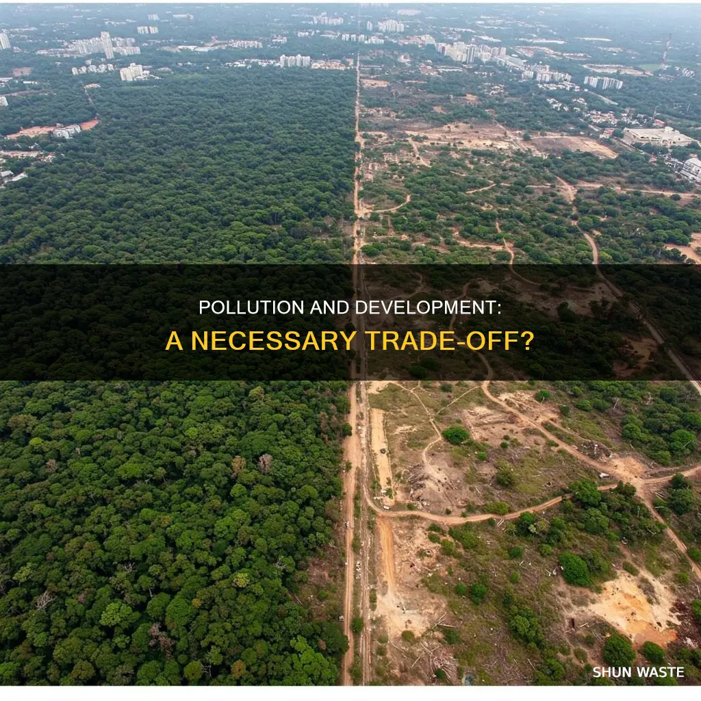 is massive pollution an inevitable consequence of economic development
