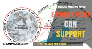 Understanding Carrying Capacity: How Ecosystems Sustain Maximum Population Sizes