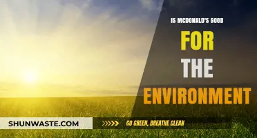 McDonald's Environmental Impact: Sustainable Practices or Greenwashing?