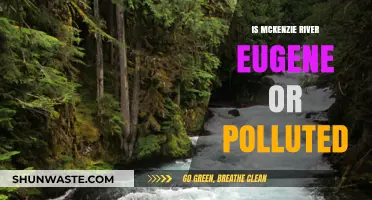 Eugene's McKenzie River: A Polluted Paradise?