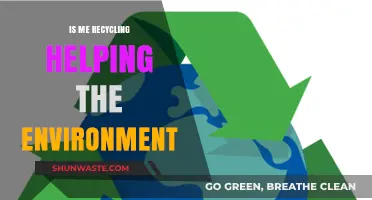 Is My Recycling Truly Making a Difference for the Environment?