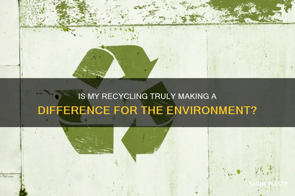 is me recycling helping the environment