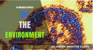 Environmental Factors and Their Impact on Measles Transmission