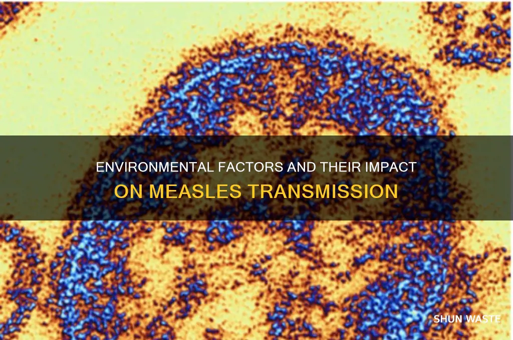 is measles affect by the environment