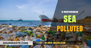 The Mediterranean Sea: Polluted Paradise?