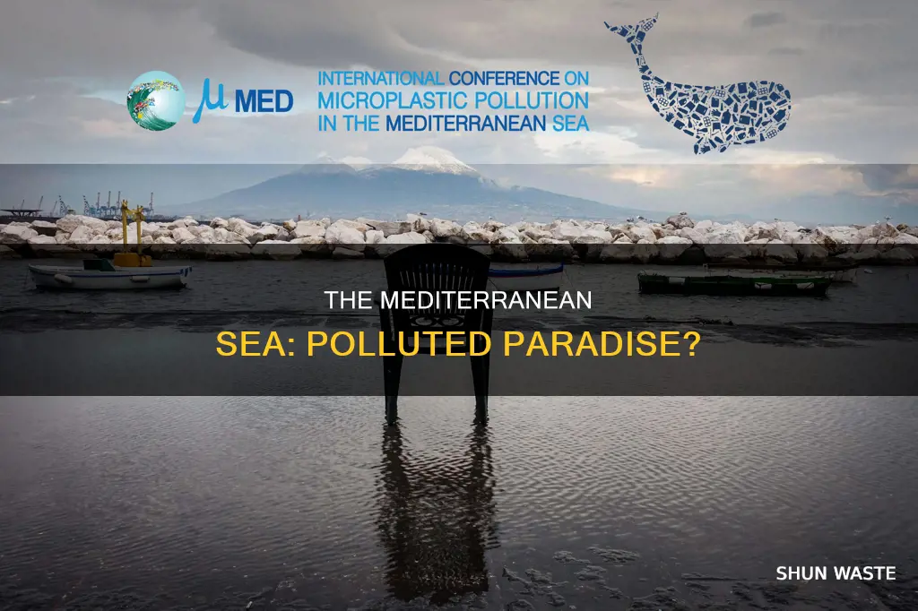 is mediterranean sea polluted