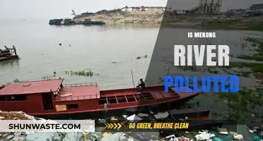 Mekong River: A Polluted Paradise?