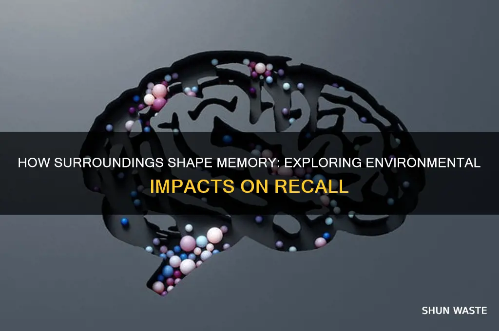 is memory affected by the environment