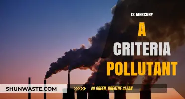 Mercury Pollution: A Criteria Air Pollutant?