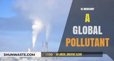 Mercury's Global Pollution Problem