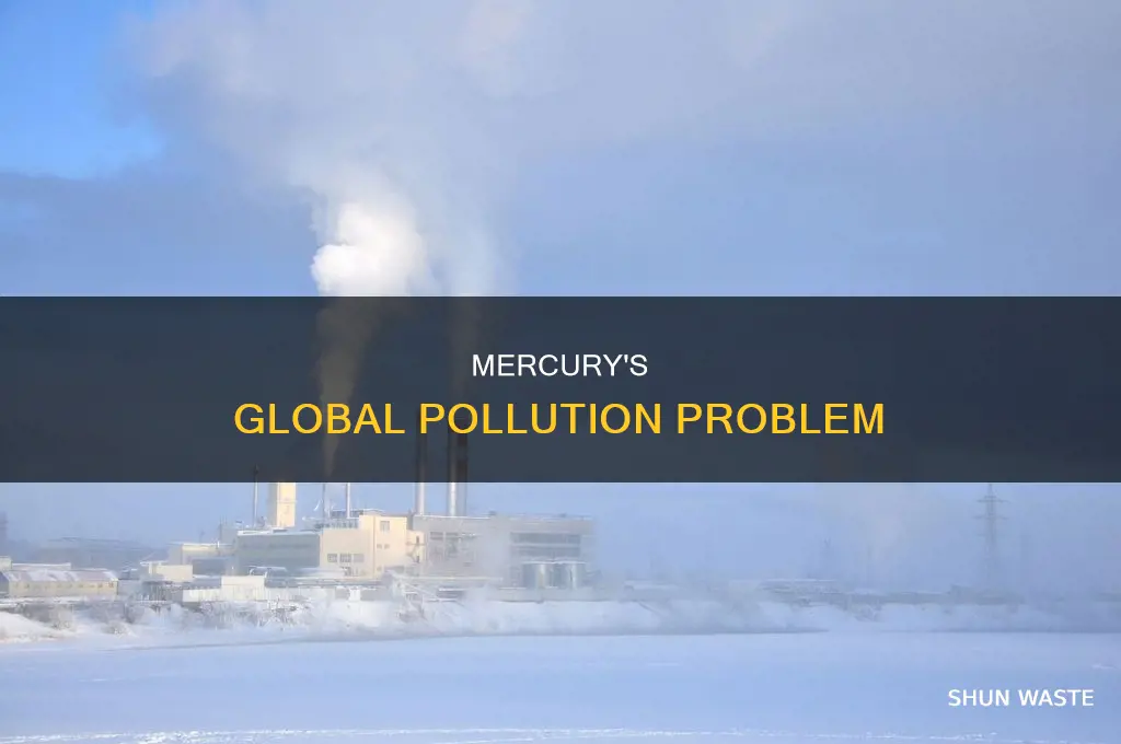 is mercury a global pollutant