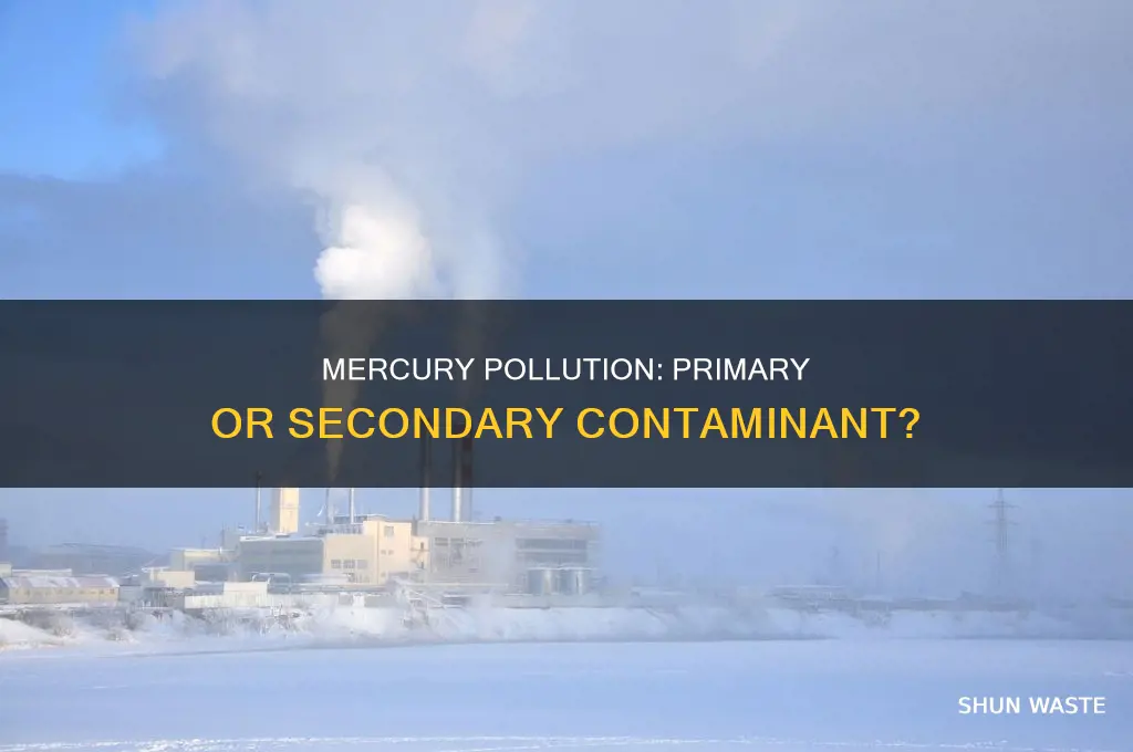 is mercury a primary or secondary pollutant