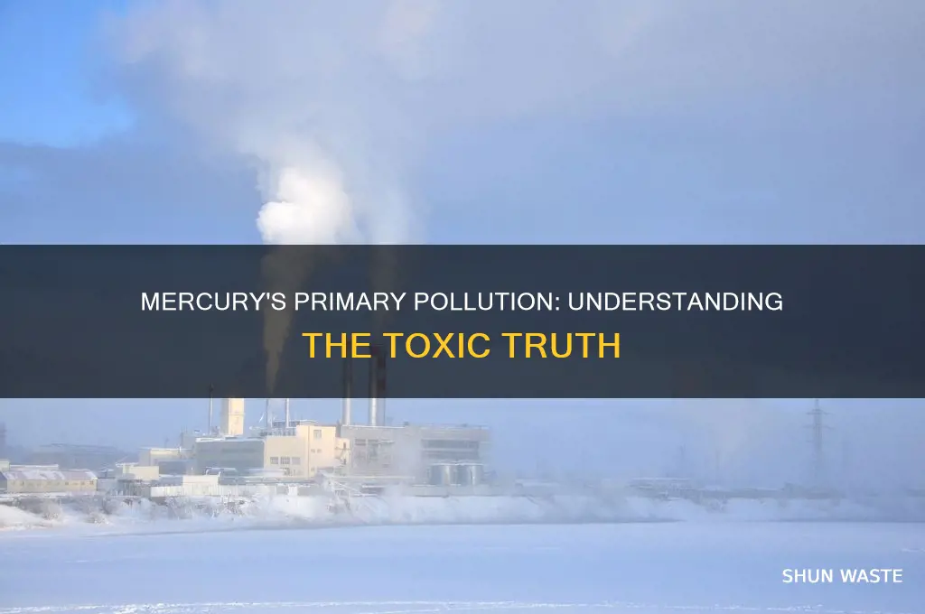 is mercury a primary pollutant