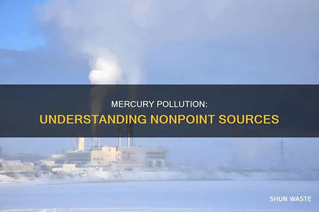 is mercury is pollution or nonpoint source