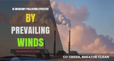 How Wind Patterns Affect Mercury Pollution