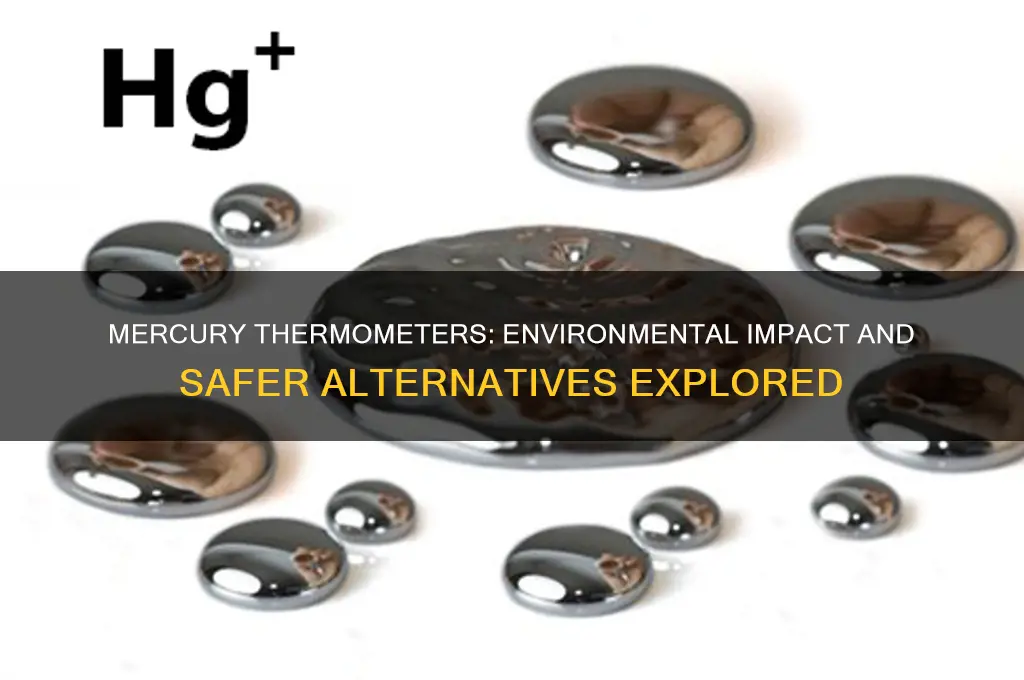 is mercury thermometers bad for the environment