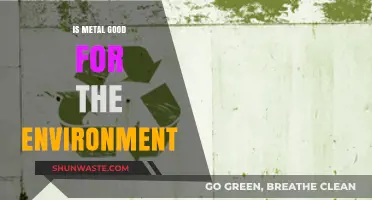 Metal's Environmental Impact: Sustainable Benefits or Ecological Burden?