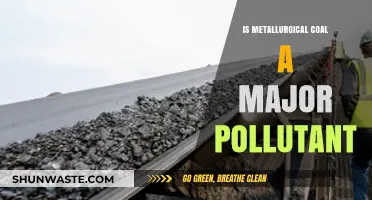 The Dark Side of Metallurgical Coal: A Major Pollutant?