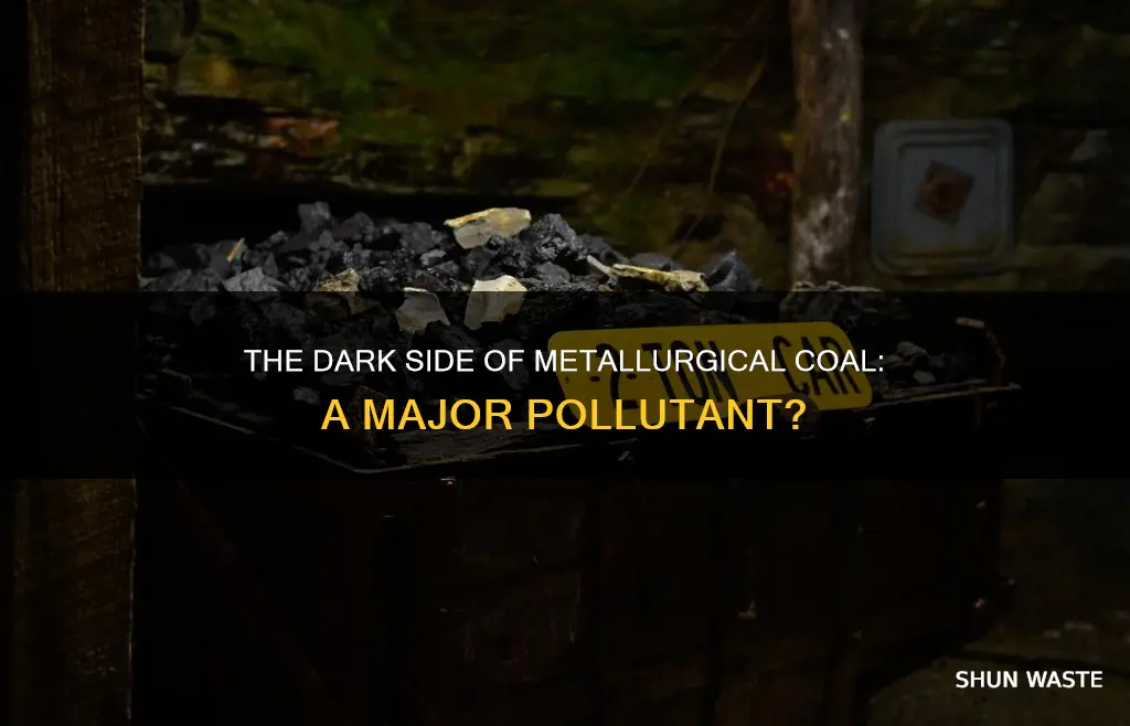is metallurgical coal a major pollutant