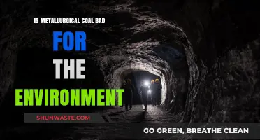 Metallurgical Coal's Environmental Impact: A Critical Analysis and Concerns