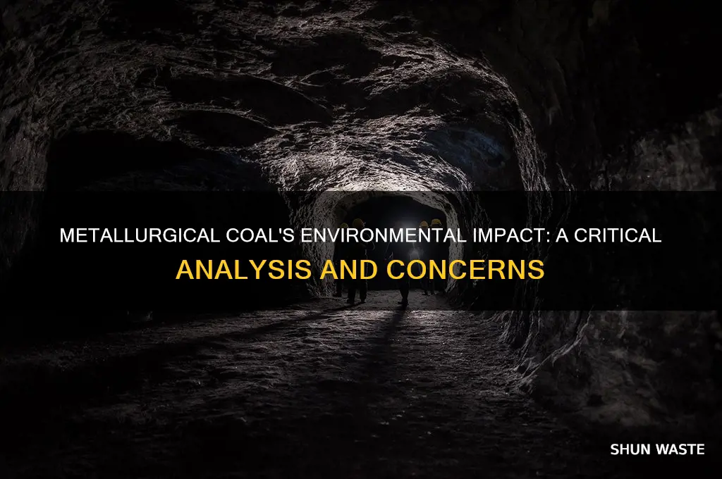 is metallurgical coal bad for the environment
