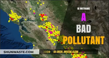 Methane: A Potent Greenhouse Gas Pollutant