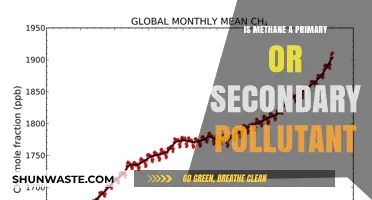 Methane's Dual Nature: Primary or Secondary Pollutant?