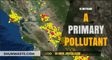 Methane: A Primary Pollutant?