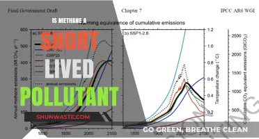 Methane: A Short-Lived but Potent Pollutant?