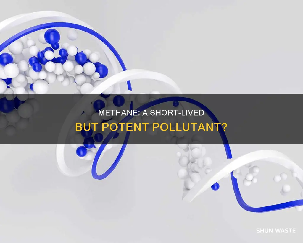 is methane a short lived pollutant