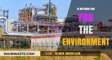 Methane's Environmental Impact: A Hidden Threat to Our Planet?