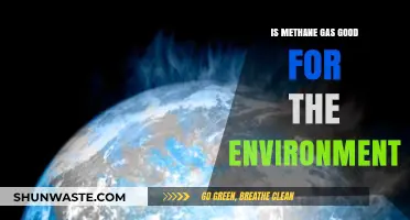 Methane Gas: Environmental Ally or Climate Change Culprit?