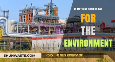 Methane's Environmental Impact: A Double-Edged Gas for Our Planet?