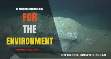 Methane Hydrate: Environmental Threat or Misunderstood Resource?